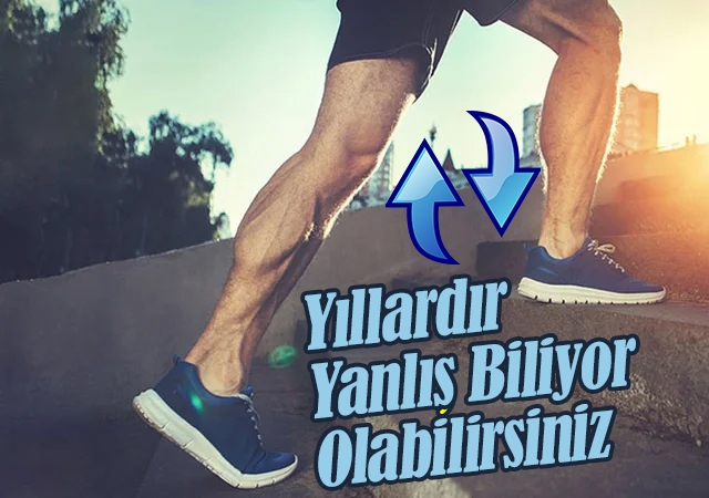 Yıllardır yanlış biliyormuşuz! Merdiven inmek mi yoksa çıkmak mı daha faydalı?