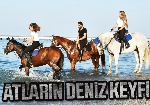 Atların deniz keyfi