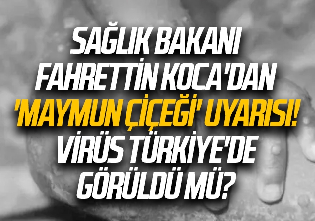 Sağlık Bakanı Fahrettin Koca'dan 'maymun çiçeği' uyarısı! Virüs Türkiye'de görüldü mü?