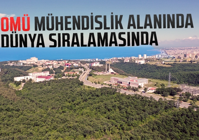 OMÜ, Mühendislik Alanında Dünya Sıralamasında