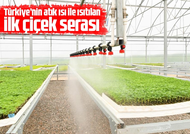 Türkiye’nin atık ısı ile ısıtılan ilk çiçek serası