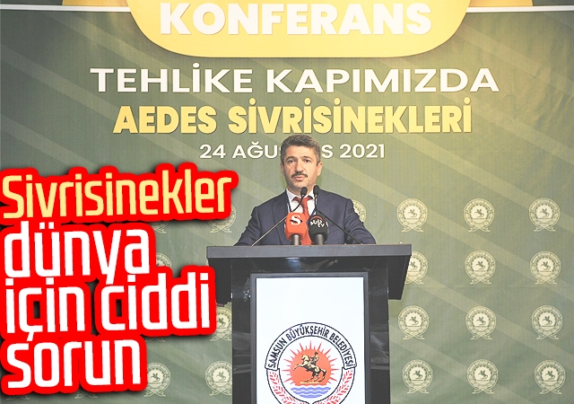 Sivrisinekler dünya için ciddi sorun