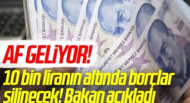 Af geliyor! 10 bin liranın altında borçlar silinecek! Bakan açıkladı