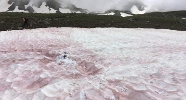 Görenler şaşkınlığı gizleyemedi! Kırmızı kar, bilim insanlarını harekete geçirdi