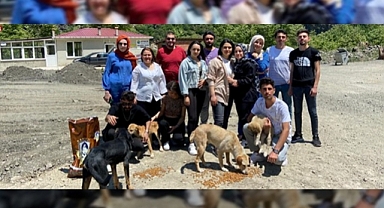 Sağlık Hizmetleri Öğrencilerinden Ayvacık'taki Barınak Hayvanlarına Yardım Eli