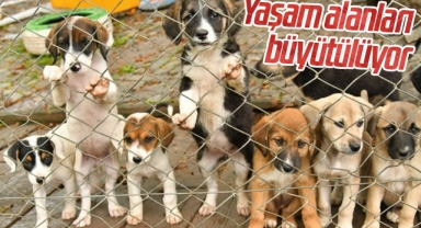 Samsun'da Yaşam alanları büyütülüyor