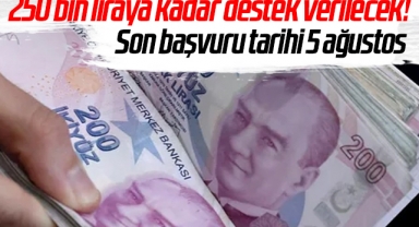 250 bin liraya kadar destek verilecek! Son başvuru tarihi 5 ağustos