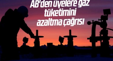 AB'den üyelere gaz tüketimini azaltma çağrısı