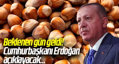 Beklenen gün geldi! Cumhurbaşkanı Erdoğan açıklayacak... Fındık fiyatı ne kadar olacak?
