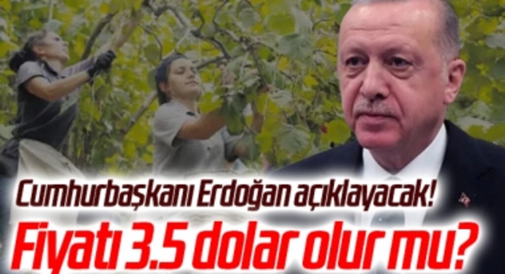 Cumhurbaşkanı Erdoğan açıklayacak! Fiyatı 3.5 dolar olur mu?