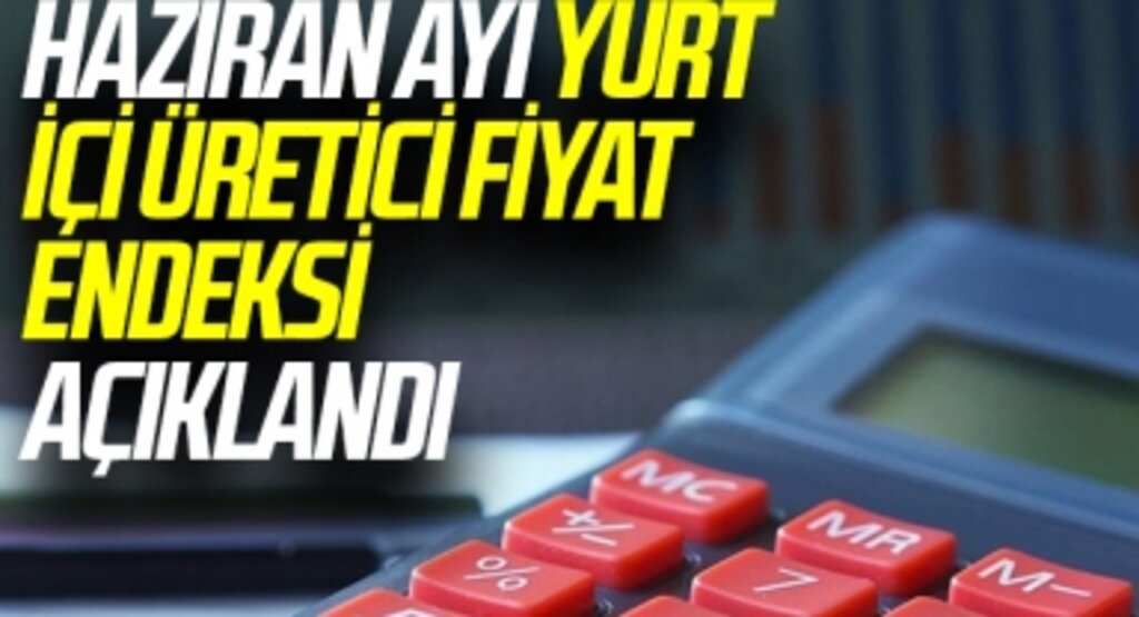 Haziran ayı yurt içi üretici fiyat endeksi açıklandı