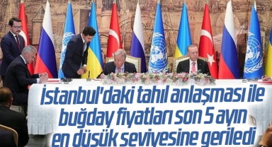 İstanbul'daki tahıl anlaşması ile buğday fiyatları son 5 ayın en düşük seviyesine geriledi
