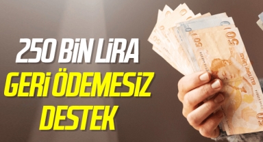 KOSGEB'ten girişimcilere 250 Bin TL'lik destek! Son başvuru tarihi 5 Ağustos