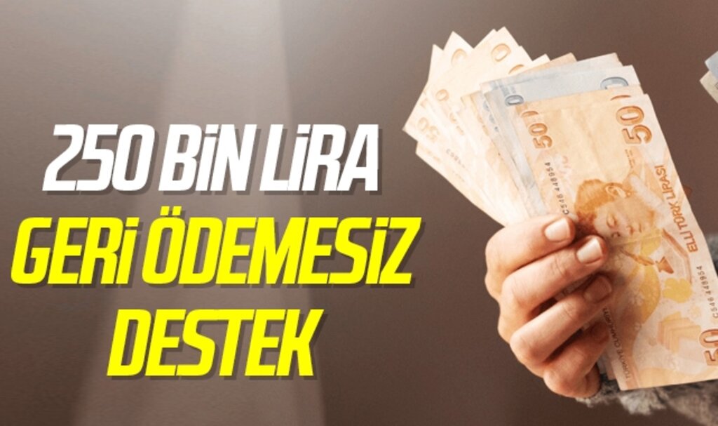 KOSGEB'ten girişimcilere 250 Bin TL'lik destek! Son başvuru tarihi 5 Ağustos