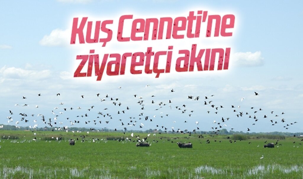 Kuş Cenneti'ne ziyaretçi akını