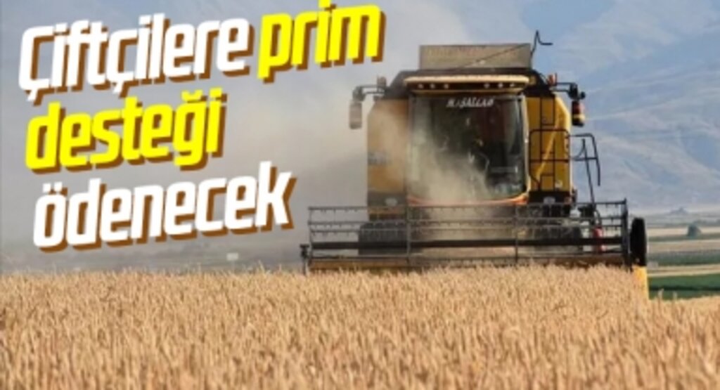 Resmi Gazete'de yayımlandı! Çiftçilere prim desteği ödenecek