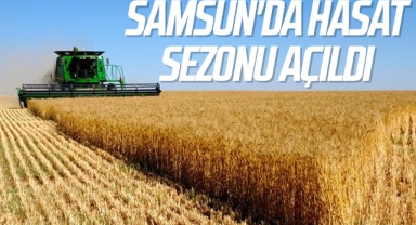 Samsun'da Hasat Sezonu Açıldı