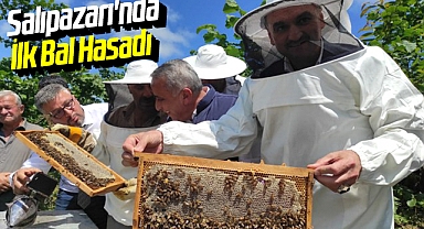 Samsun Salıpazarı'nda İlk Bal Hasadı