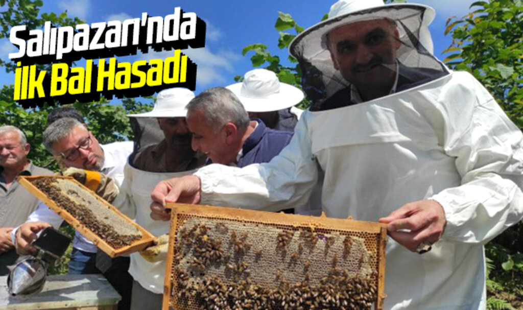 Samsun Salıpazarı'nda İlk Bal Hasadı