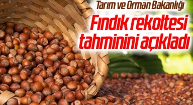 Tarım ve Orman Bakanlığı fındık rekoltesi tahminini açıkladı