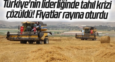 Türkiye'nin liderliğinde tahıl krizi çözüldü! Fiyatlar rayına oturdu