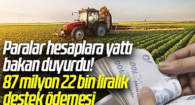Paralar hesaplara yattı bakan duyurdu! 87 milyon 22 bin liralık destek ödemesi