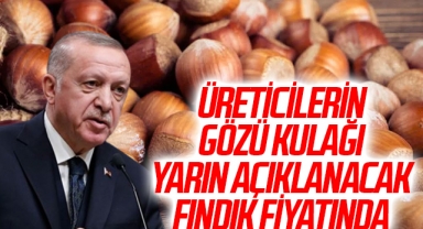 Üreticilerin gözü kulağı yarın açıklanacak fındık fiyatında