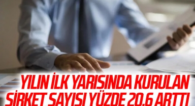 Yılın ilk yarısında kurulan şirket sayısı yüzde 20,6 arttı