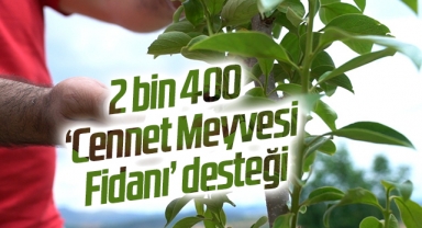 2 bin 400 ‘Cennet Meyvesi Fidanı’ desteği