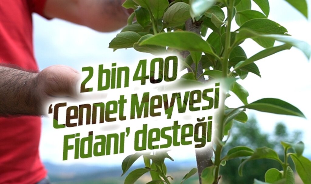 2 bin 400 ‘Cennet Meyvesi Fidanı’ desteği