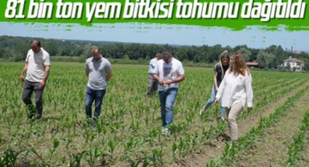 81 bin ton yem bitkisi tohumu dağıtıldı