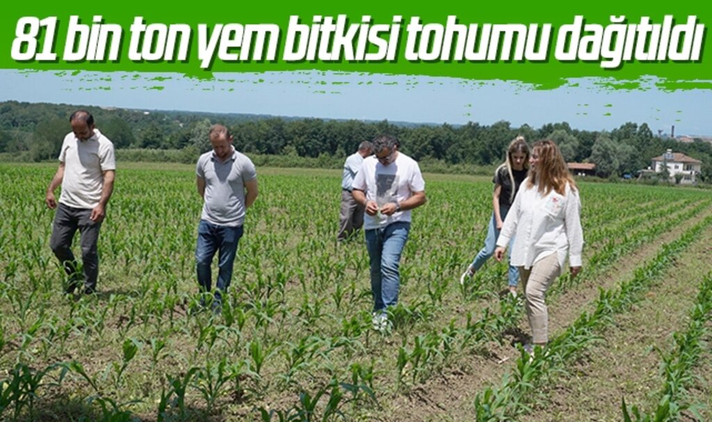 81 bin ton yem bitkisi tohumu dağıtıldı
