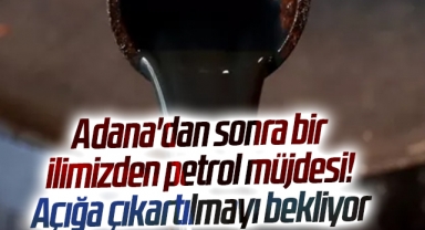 Adana'dan sonra bir ilimizden petrol müjdesi! Açığa çıkartılmayı bekliyor