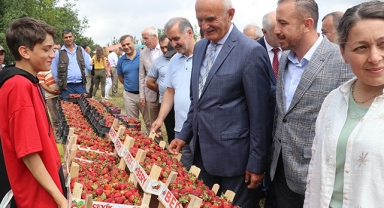 Alaçam’da Çilek Festivali Gerçekleştirildi