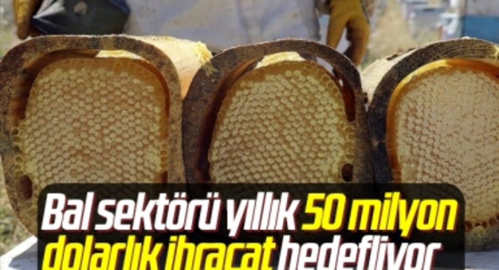 Bal sektörü yıllık 50 milyon dolarlık ihracat hedefliyor