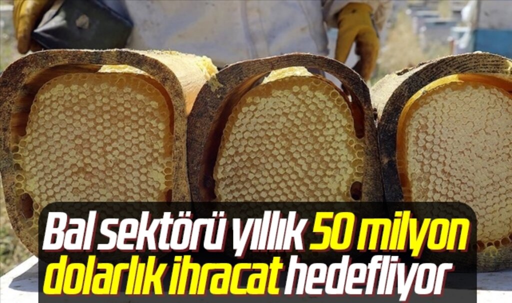 Bal sektörü yıllık 50 milyon dolarlık ihracat hedefliyor