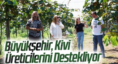 Büyükşehir, Kivi Üreticilerini Destekliyor