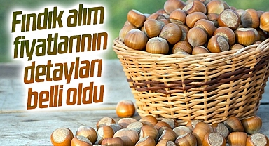 Fındık alım fiyatlarının detayları belli oldu
