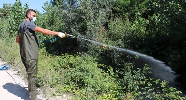 Havza Belediyesinden ilaçlama çalışması