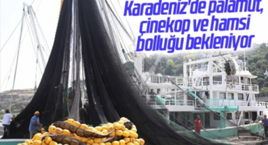 Karadeniz'de palamut, çinekop ve hamsi bolluğu bekleniyor