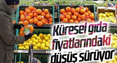 Küresel gıda fiyatlarındaki düşüş sürüyor
