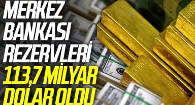 Merkez Bankası rezervleri 113,7 milyar dolar oldu