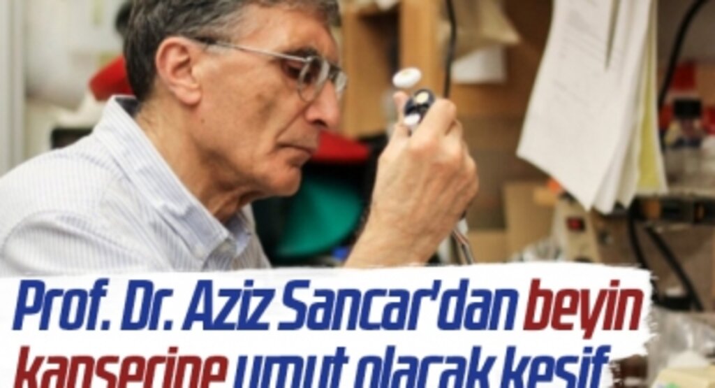 Prof. Dr. Aziz Sancar'dan beyin kanserine umut olacak keşif