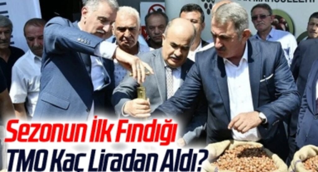 Sezonun İlk Fındığı TMO Kaç Liradan Aldı?