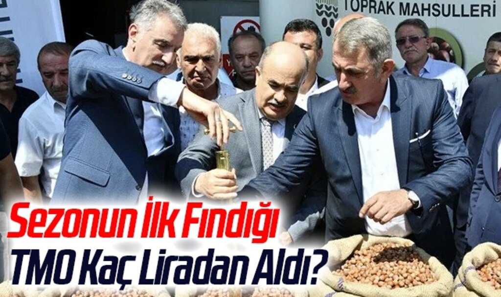 Sezonun İlk Fındığı TMO Kaç Liradan Aldı?