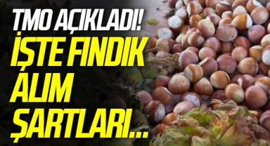 TMO fındık alım şartları nelerdir? TMO fındık alım tarihi ne zaman?