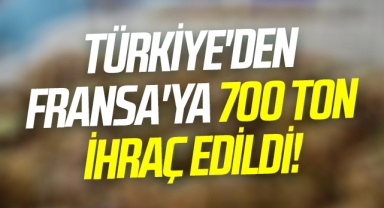 Türkiye'den Fransa'ya 700 Ton İhraç Edildi!