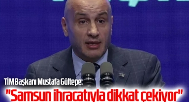 Türkiye İhracatçılar Meclisi (TİM) Başkanı Mustafa Gültepe: