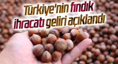 Türkiye'nin fındık ihracatı geliri açıklandı