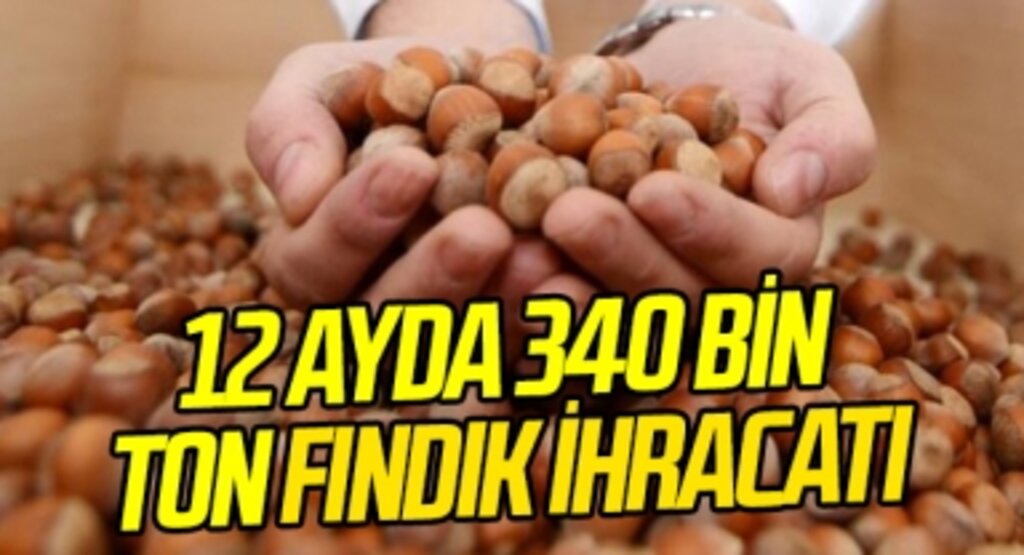 12 ayda 340 bin ton fındık ihraç edildi